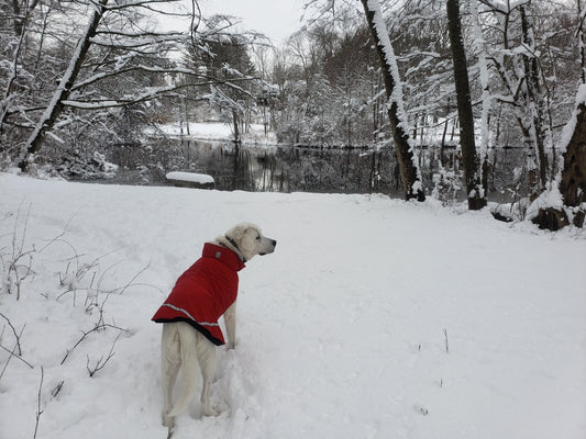 Female Brilliance - From Winter… towards Spring